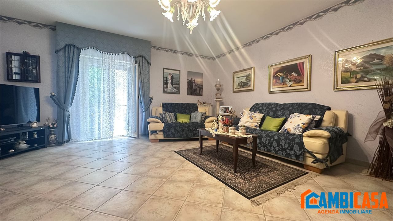 immagine annuncio 6 di 14