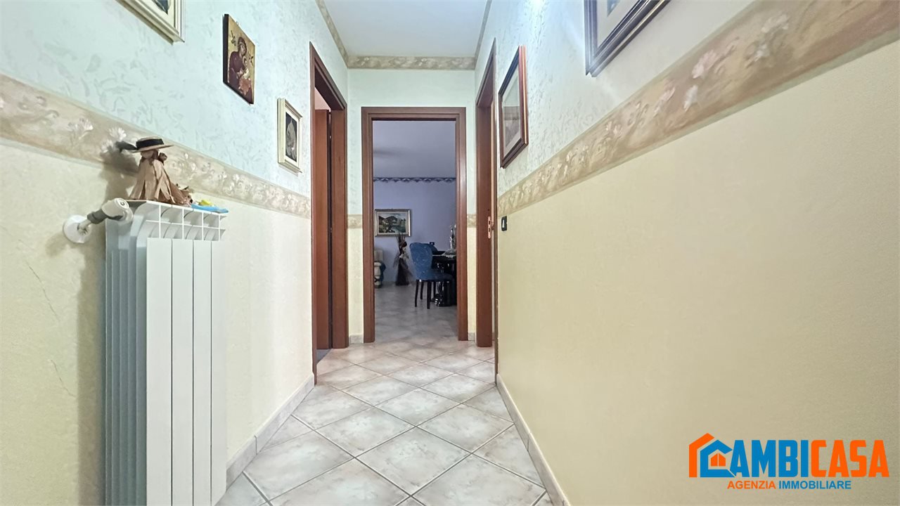 immagine annuncio 9 di 14